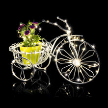 Multipurpose LED Starry String Lights with Battery