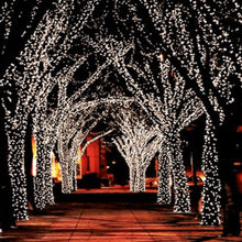 Solar Powered LED Fairy String Lights